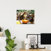 BUTTERFLIES POSTER (Heimbüro)