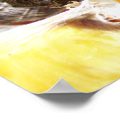 BUTTERFLIES POSTER (Ecke)