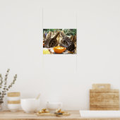 BUTTERFLIES POSTER (Küche)