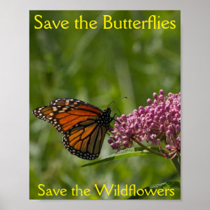 Butterflies-Poster 8x10 gerettet Poster