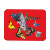 butterflies sobriety symbol rectangle magnet (Horizontal)