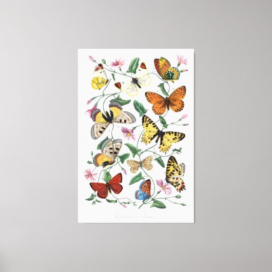 Butterflies Wall Art Canvas Vintage Style Nature Leinwanddruck (Vorderseite)