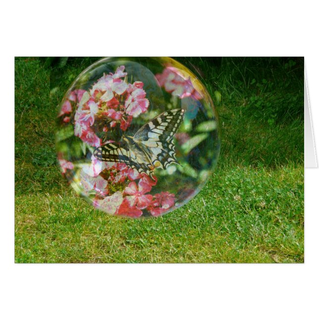 Butterfly (Vorderseite (Horizontal))