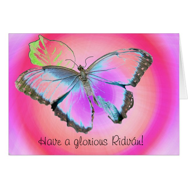 Butterfly3 (Vorderseite (Horizontal))