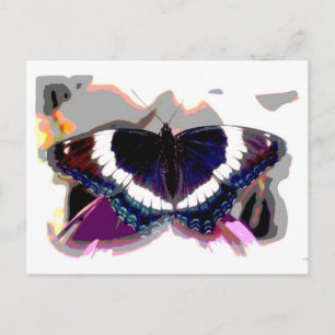 Butterfly 1 Abstrakte Kunstfotografie Postkarte