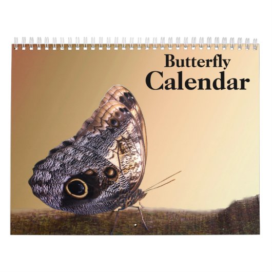 Butterfly 2026 kalender (Titelbild)