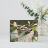 Butterfly # 2 postkarte (Stehend Vorderseite)