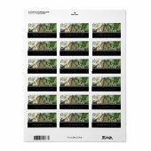 Butterfly-Adressetiketten Adressaufkleber (Vorne)