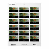 Butterfly-Adressetiketten Adressaufkleber (Vorne)