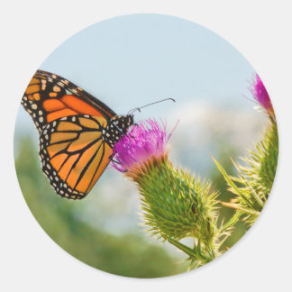 Butterfly - All hail the monarch Runder Aufkleber