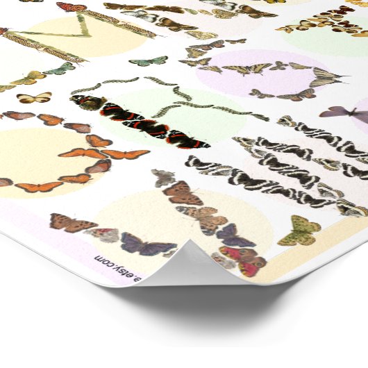 Butterfly Alphabet Poster - Kinder ABC (Ecke)
