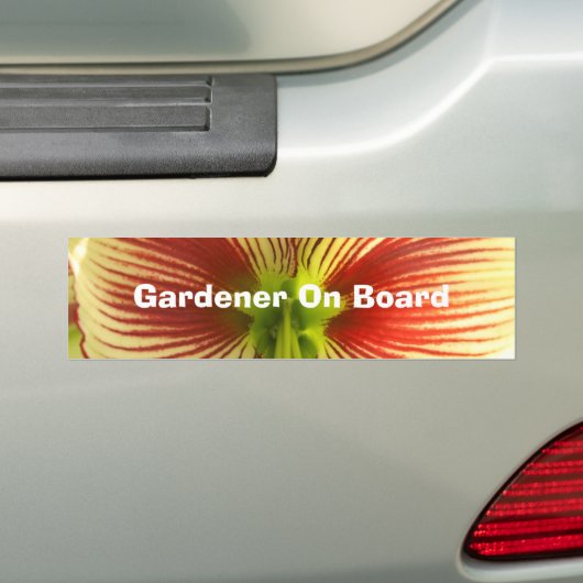 Butterfly Amaryllis Autoaufkleber (Auf Auto)