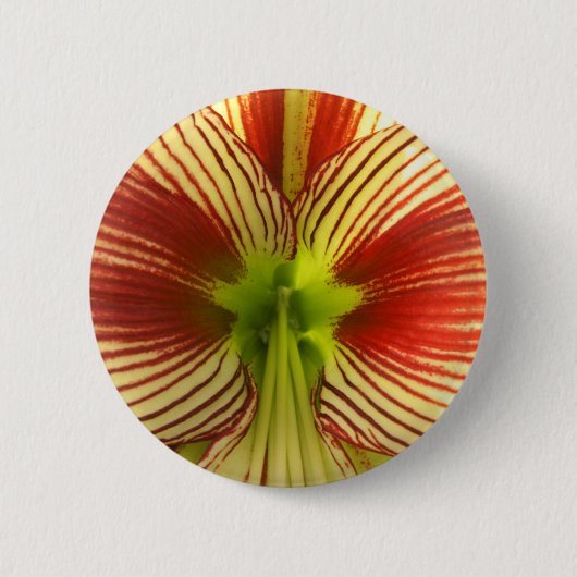 Butterfly Amaryllis Button (Vorderseite)