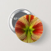 Butterfly Amaryllis Button (Vorne & Hinten)