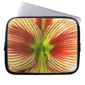 Butterfly Amaryllis Laptopschutzhülle (Vorderseite)