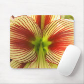 Butterfly Amaryllis Mousepad (Mit Mouse)