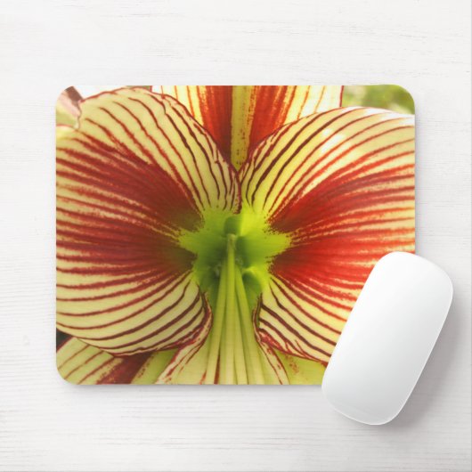 Butterfly Amaryllis Mousepad (Mit Mouse)