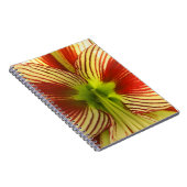 Butterfly Amaryllis Notizblock (Rechte Seite)