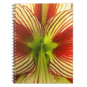 Butterfly Amaryllis Notizblock (Vorderseite)
