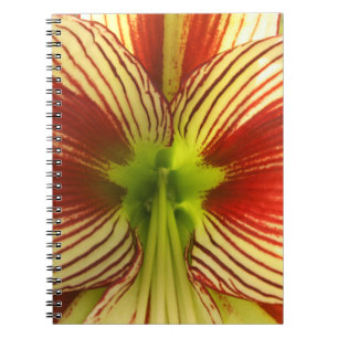 Butterfly Amaryllis Notizblock