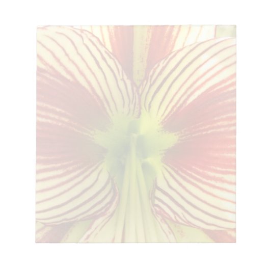 Butterfly Amaryllis Notizblock (Vorderseite)