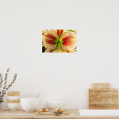 Butterfly Amaryllis Poster (Küche)