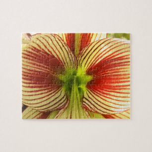 Butterfly Amaryllis Puzzle
