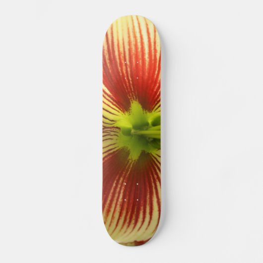 Butterfly Amaryllis Skateboard (Vorderseite)