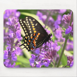 Butterfly - Amerikanisches Frack auf Kit Cat Blume Mousepad