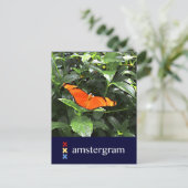 Butterfly Amsterdam Postkarte (Stehend Vorderseite)