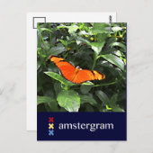 Butterfly Amsterdam Postkarte (Vorne/Hinten)