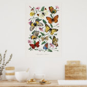 Butterfly and Moth Painting von Paul Gervais Poster (Küche)