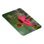 Butterfly Ansammlung Nectar Magnet (Rechte Seite)