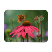 Butterfly Ansammlung Nectar Magnet (Horizontal)