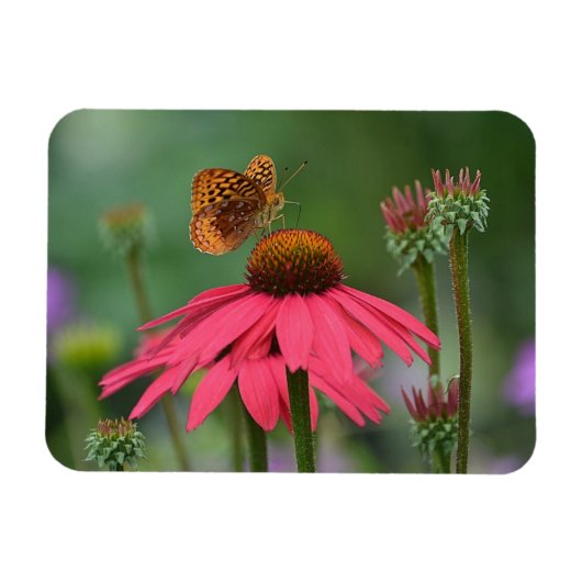 Butterfly Ansammlung Nectar Magnet (Horizontal)