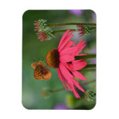 Butterfly Ansammlung Nectar Magnet (Vertikal)