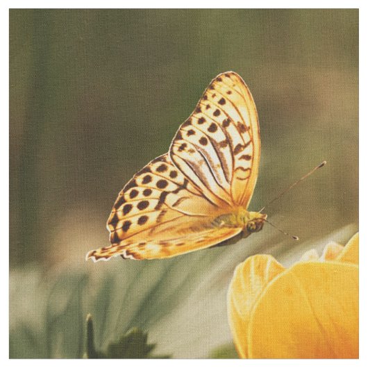 Butterfly Art 32 Optionen Benutzerdefiniertes Gewe Stoff (Nahaufnahme)