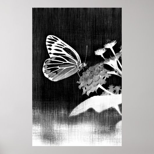 Butterfly Art | Schwarz und Weiß Poster (Vorne)