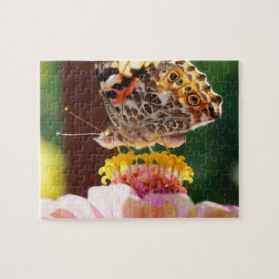 Butterfly auf einer rosa Zinnia-Blume hochladen Puzzle