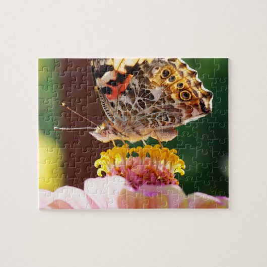 Butterfly auf einer rosa Zinnia-Blume hochladen Puzzle (Horizontal)