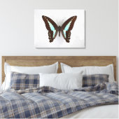 Butterfly auf Hintergrundbild Leinwanddruck (Insitu (Schlafzimmer))