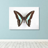 Butterfly auf Hintergrundbild Leinwanddruck (Insitu (Holzboden))