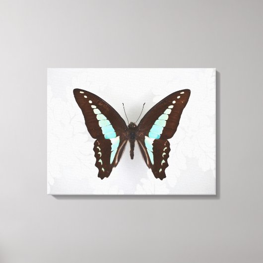 Butterfly auf Hintergrundbild Leinwanddruck (Vorderseite)