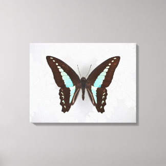 Butterfly auf Hintergrundbild Leinwanddruck