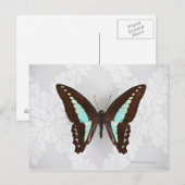 Butterfly auf Hintergrundbild Postkarte (Vorne/Hinten)