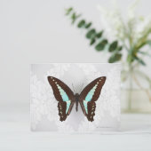 Butterfly auf Hintergrundbild Postkarte (Stehend Vorderseite)