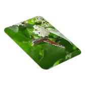 Butterfly auf Spring Lilac Magnet (Rechte Seite)