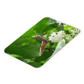 Butterfly auf Spring Lilac Magnet (Linke Seite)