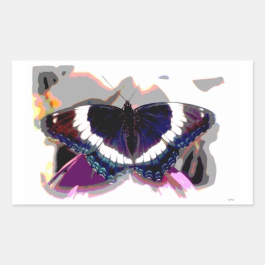 Butterfly-Aufkleber Rechteckiger Aufkleber (Vorderseite)