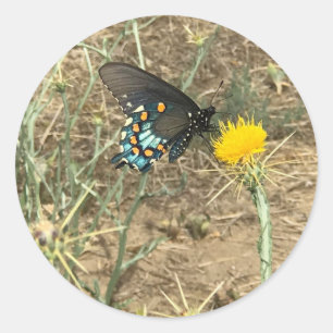 Butterfly-Aufkleber Runder Aufkleber